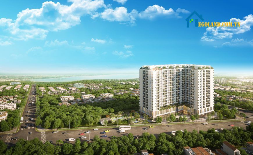 Tổng quan thông tin của dự án 9 view Apartment