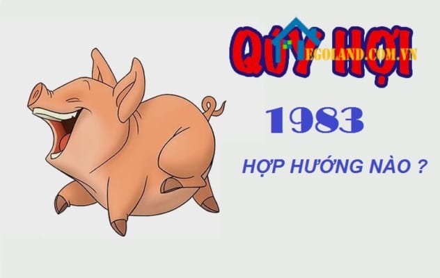 Tuổi quý hợi hợp hướng nào