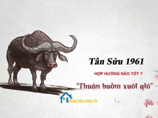 Tuổi tân sửu hợp hướng nào