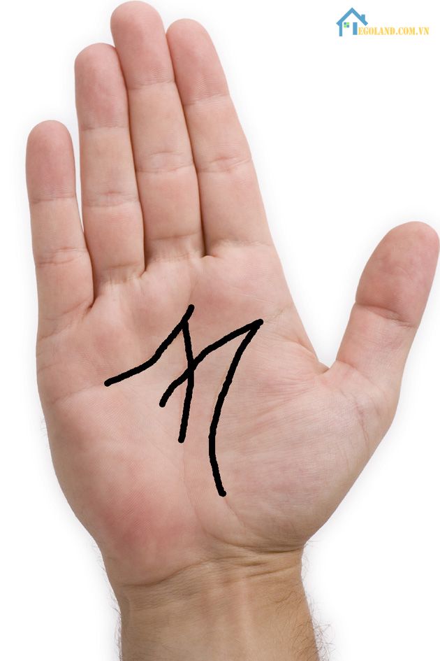 Bàn tay chữ M tay phải ở Nữ giới