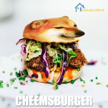 Tên meme “Cheemsburger” cũng bắt nguồn từ sở thích của chú chó Shiba đáng yêu này.