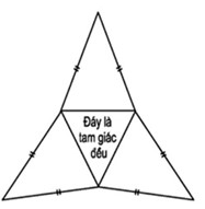 Hình chóp tam giác đều luôn có đáy là một hình tam giác đều
